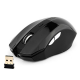 2.4G Wireless 6D Optical Mouse